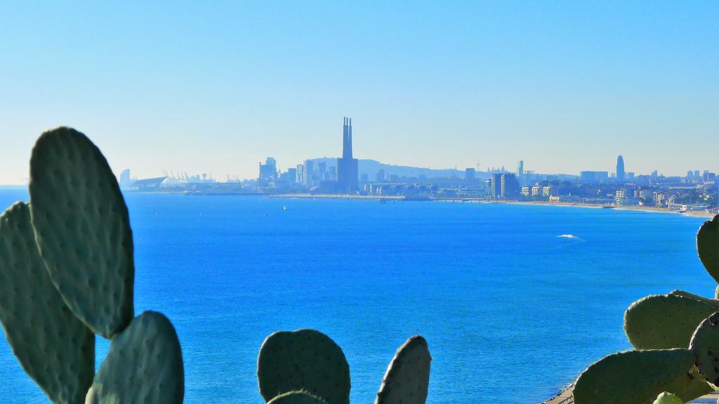 Claire Seaview & Beach-Apartment モンガット エクステリア 写真